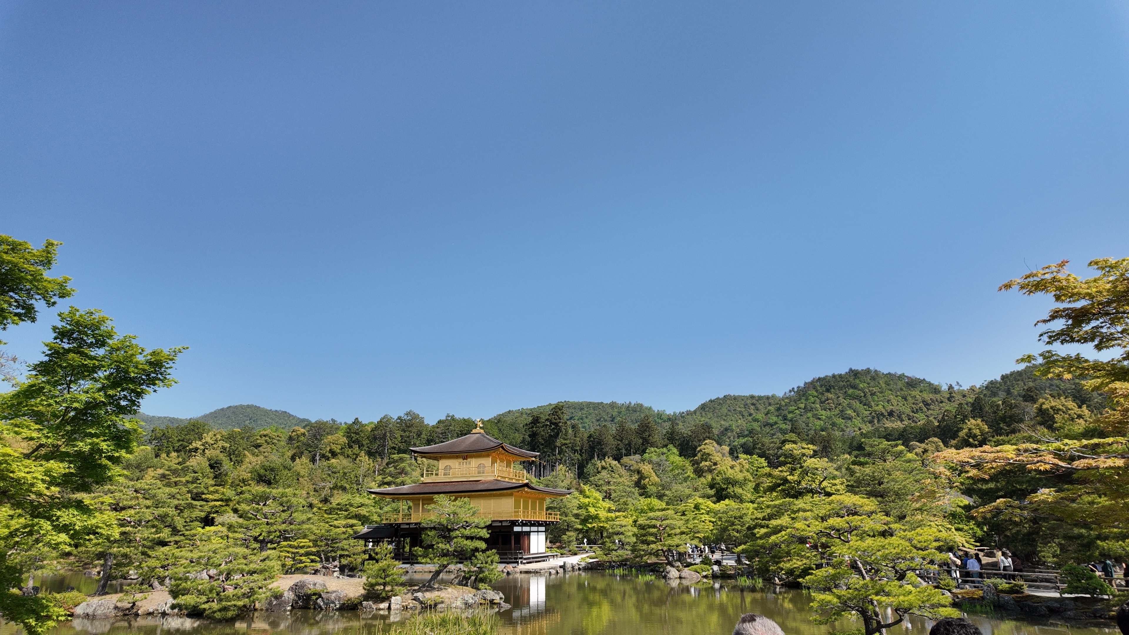 远处的金阁寺,它的最顶端有一只「凤凰」(但我怎么看都觉得是鸡)